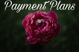 Payment Plan, Natalie