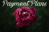 Payment Plan, Tanner