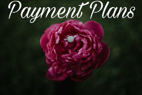Payment Plan, Tanner