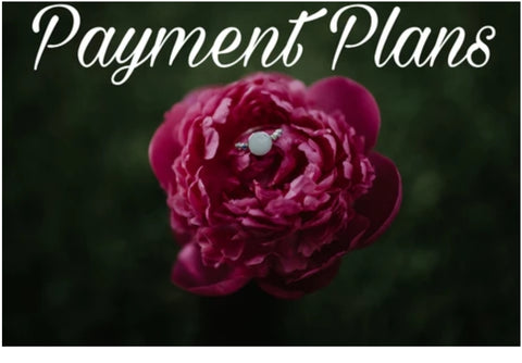 Payment Plan, Dayna